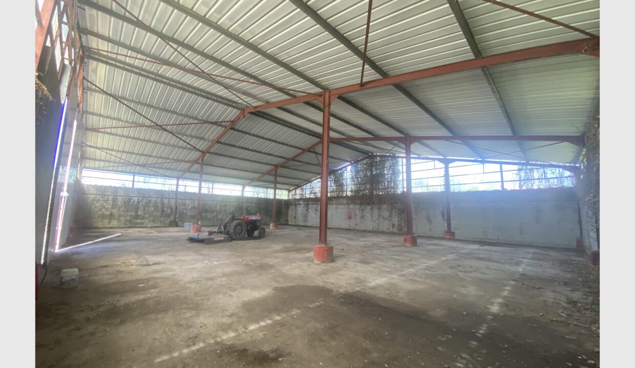 cedp-2770094-3