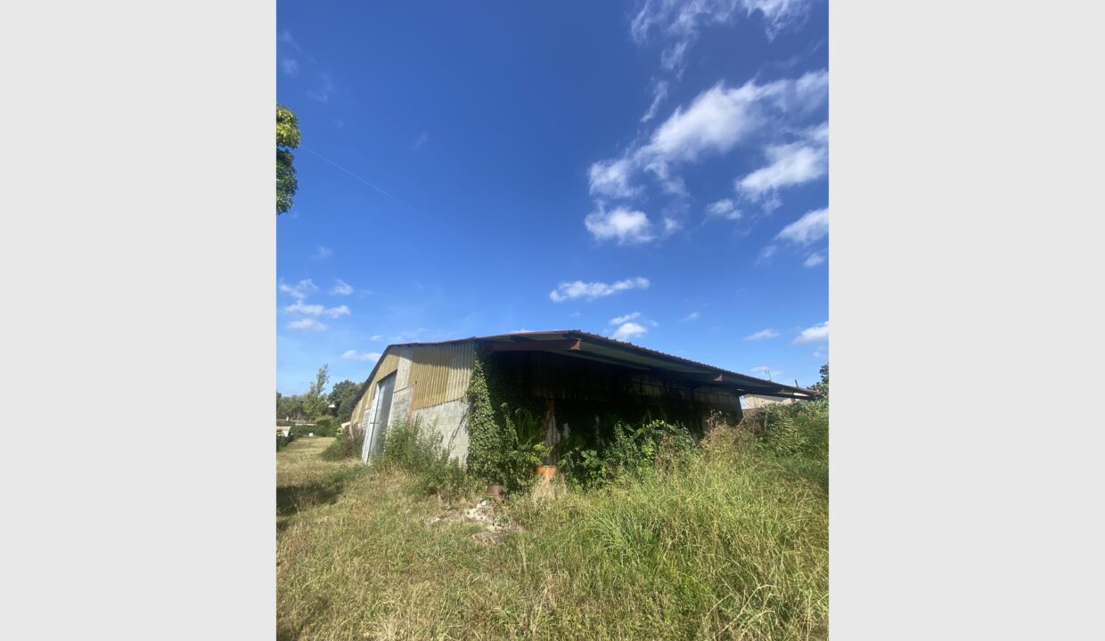 cedp-2770094-4