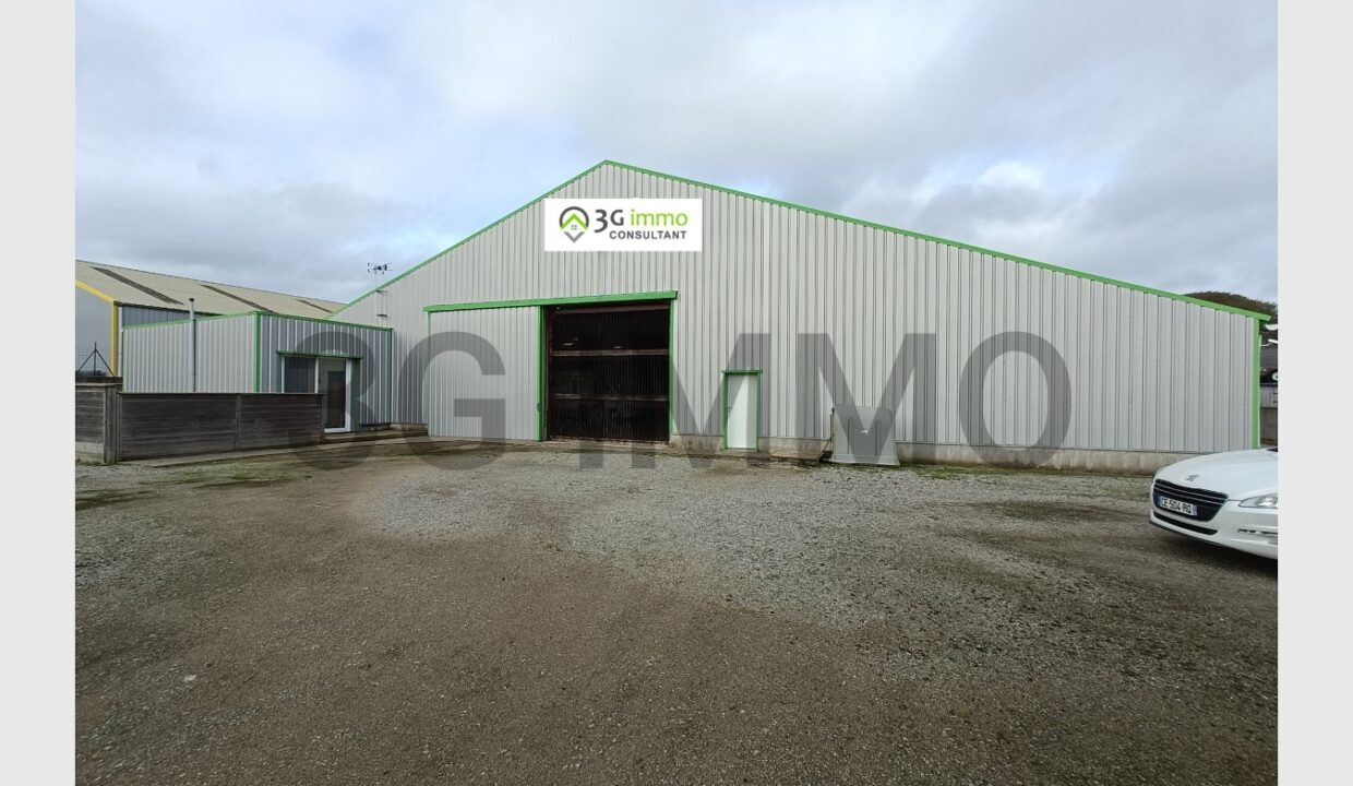 cedp-2772047-1