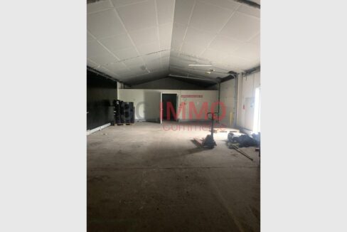 cedp-2772048-4