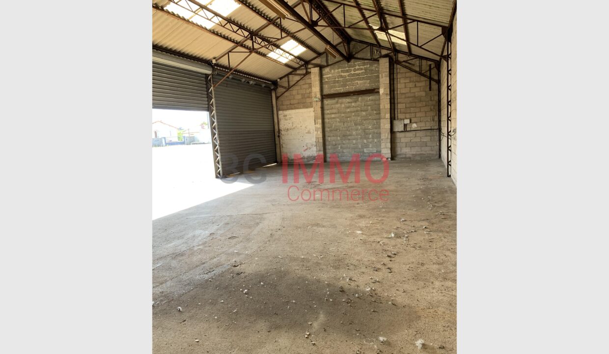 cedp-2773334-3