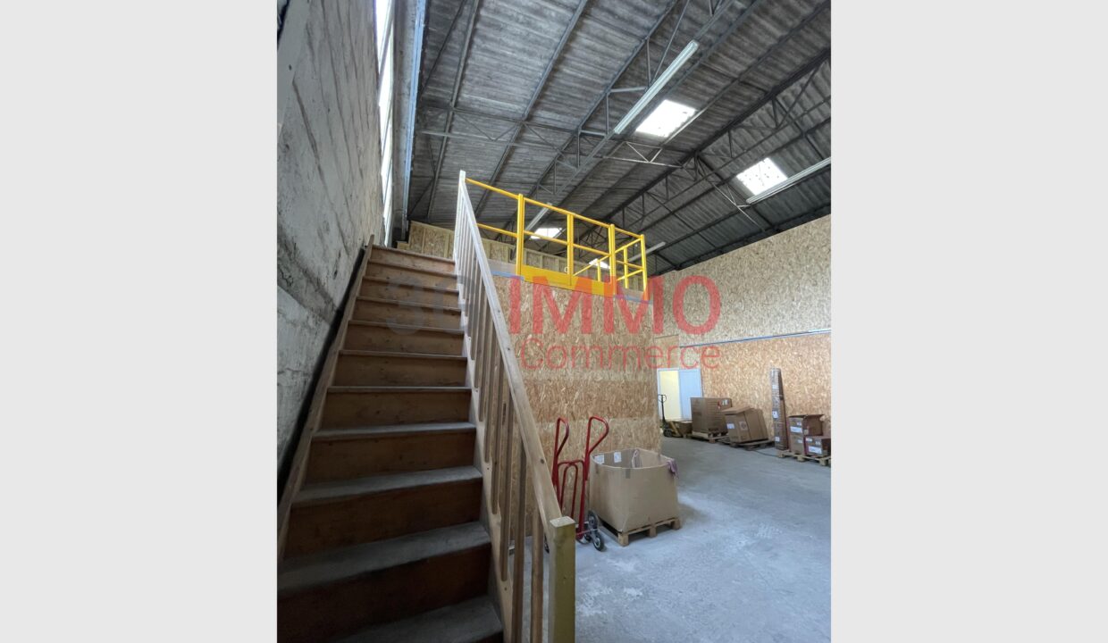 cedp-2773791-3