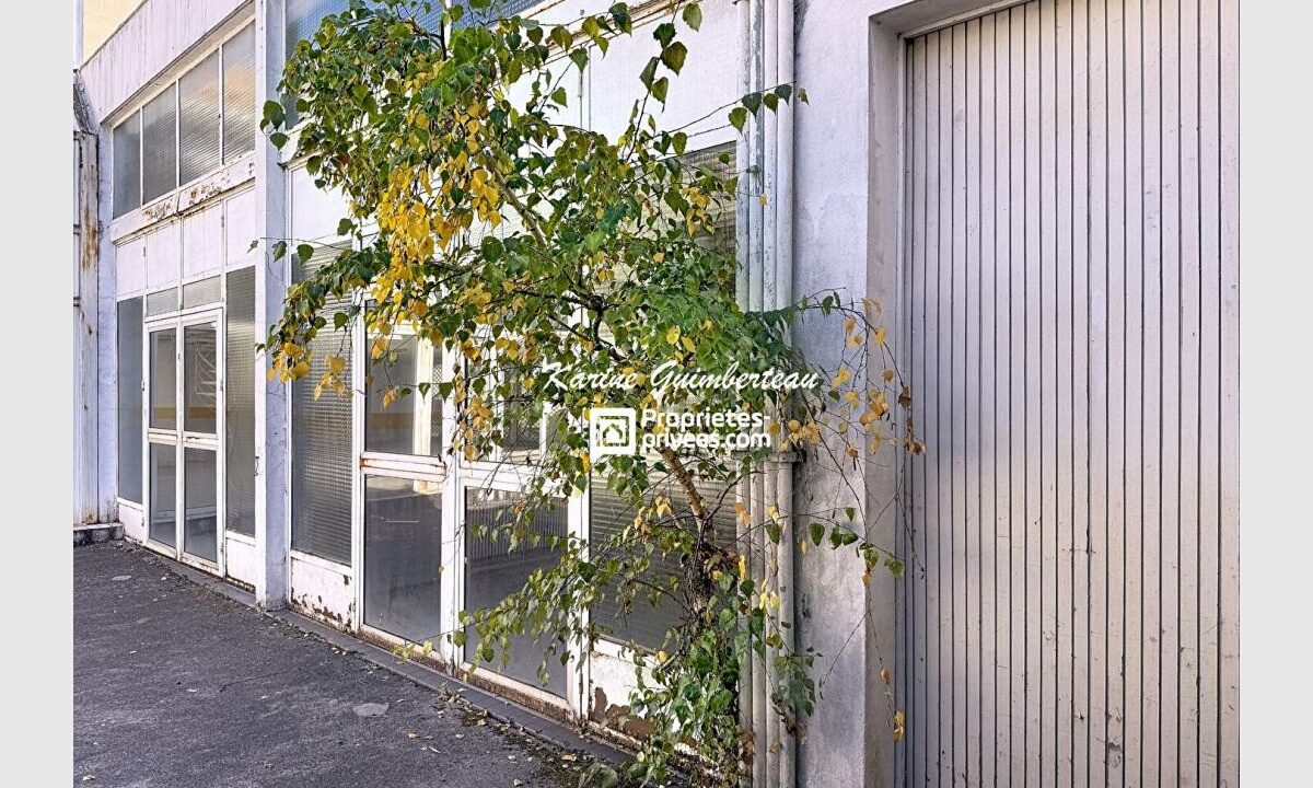 cedp-2773795-4