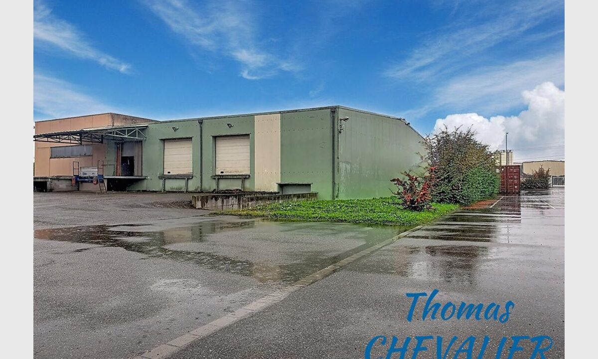 cedp-2774127-12