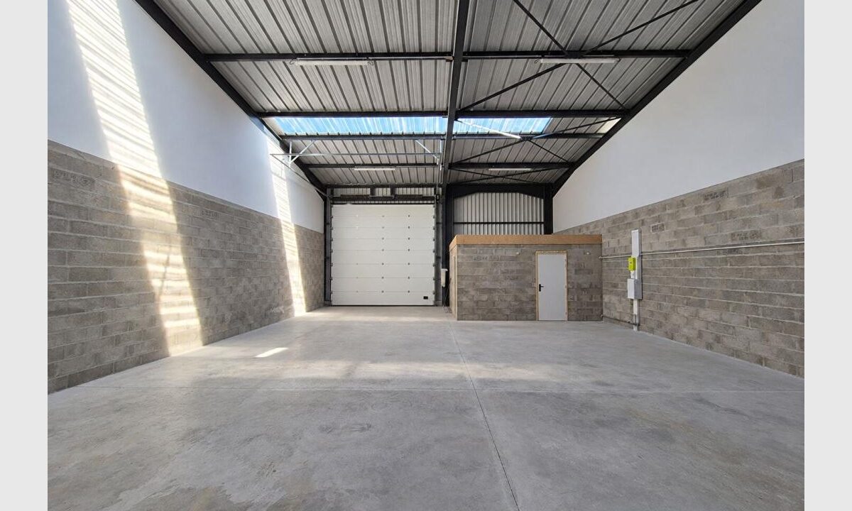 cedp-2774129-5