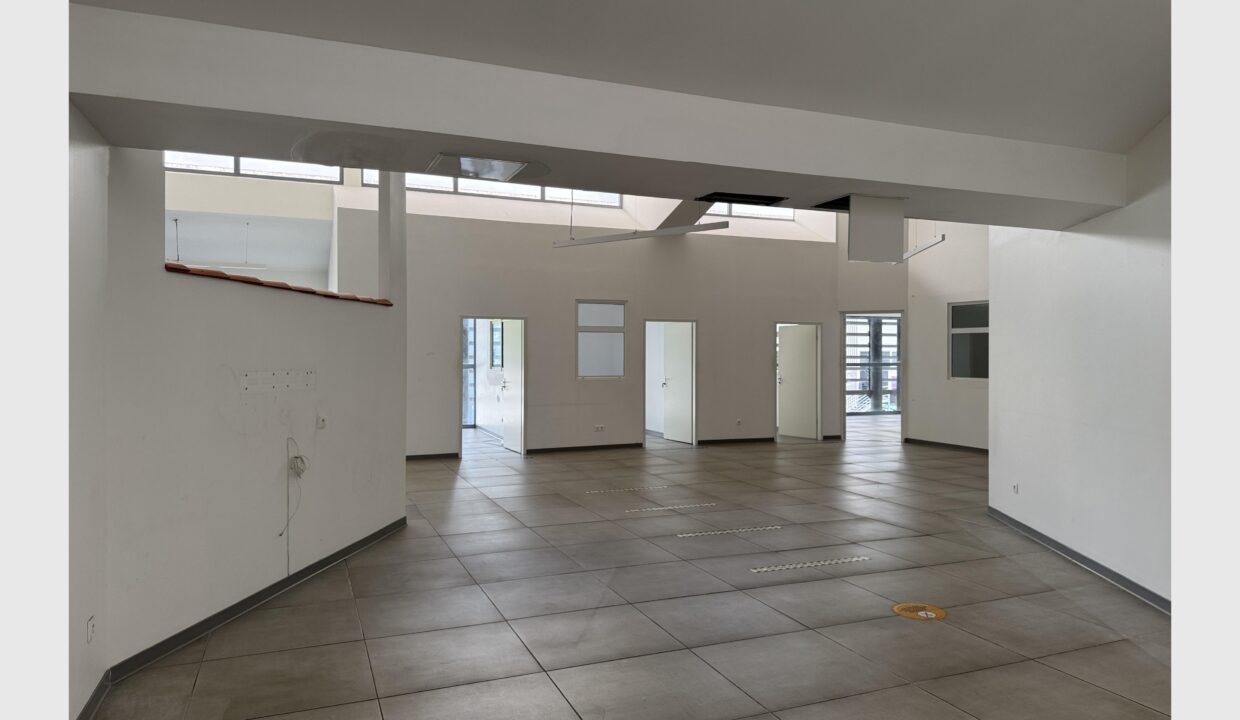 cedp-2774651-8