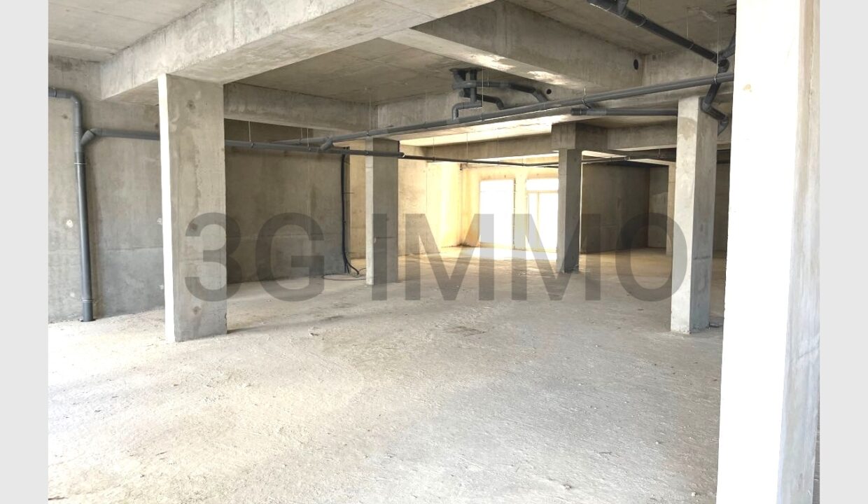 cedp-2615834-4