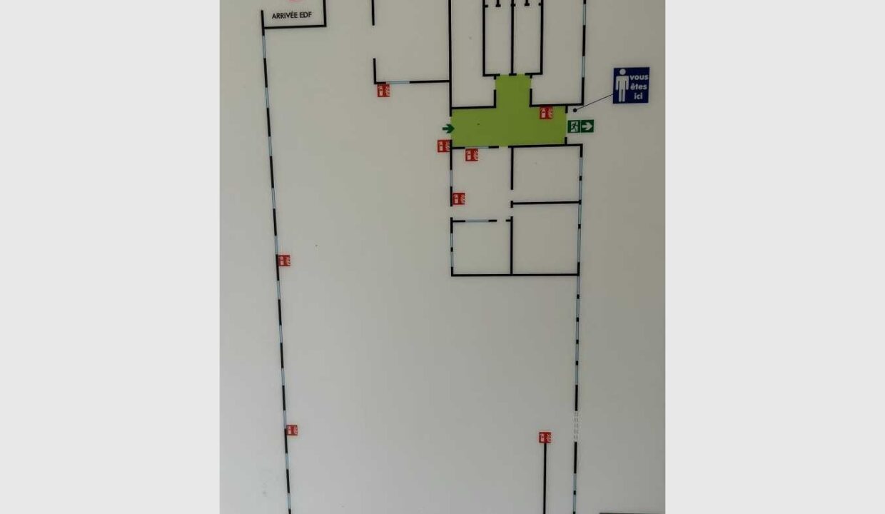 cedp-2620016-5