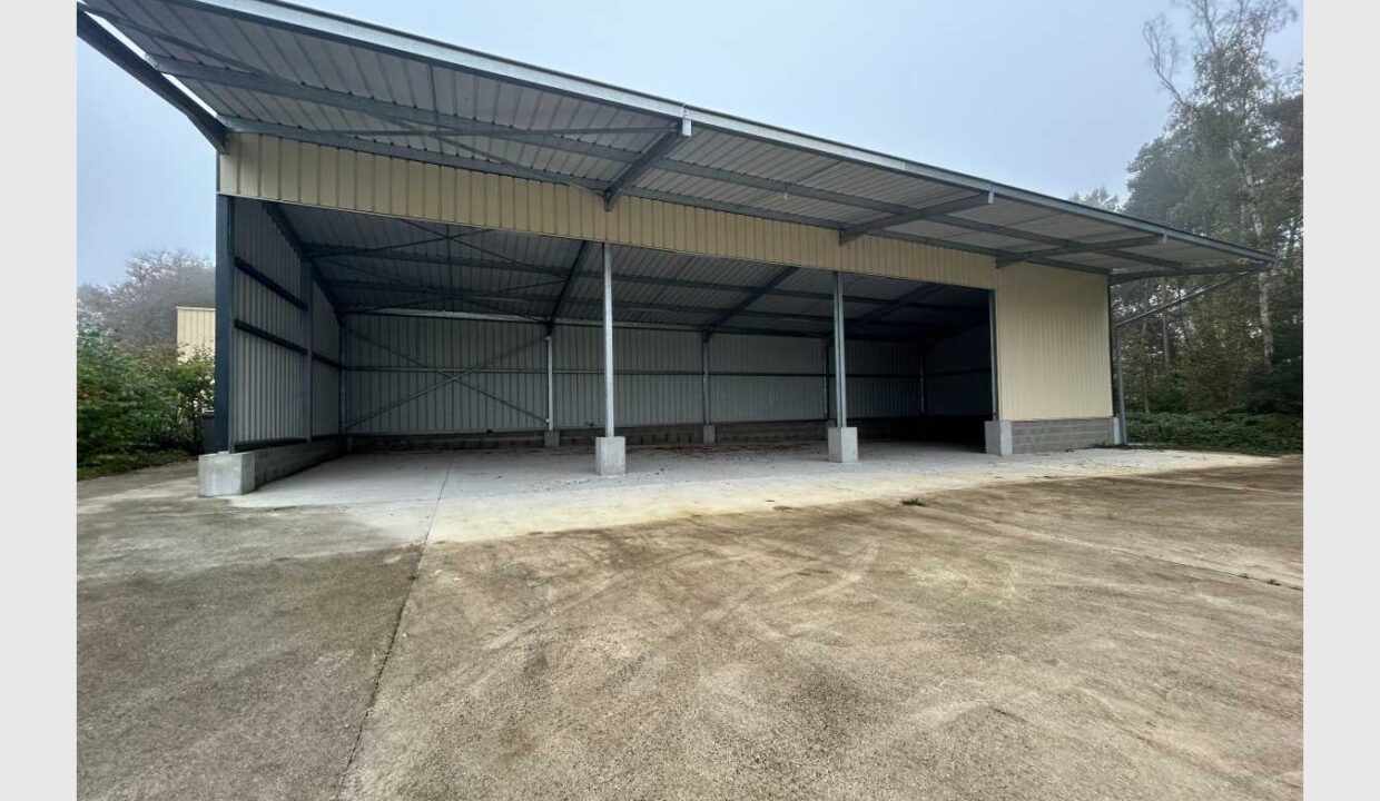 cedp-2620016-6