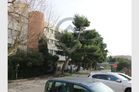 cedp-2620039-1