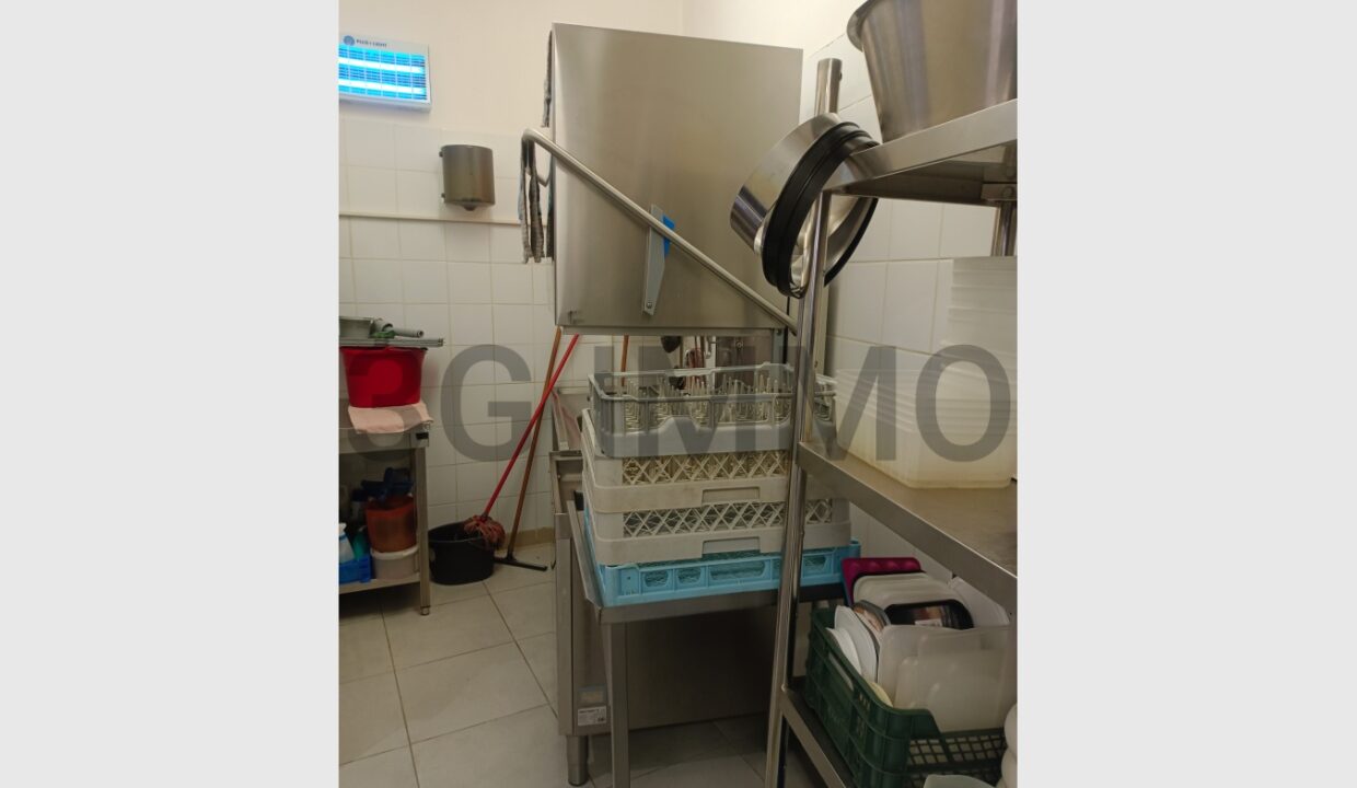 cedp-2620050-5