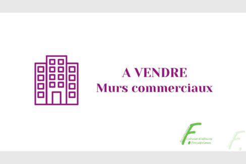 cedp-2620074-1