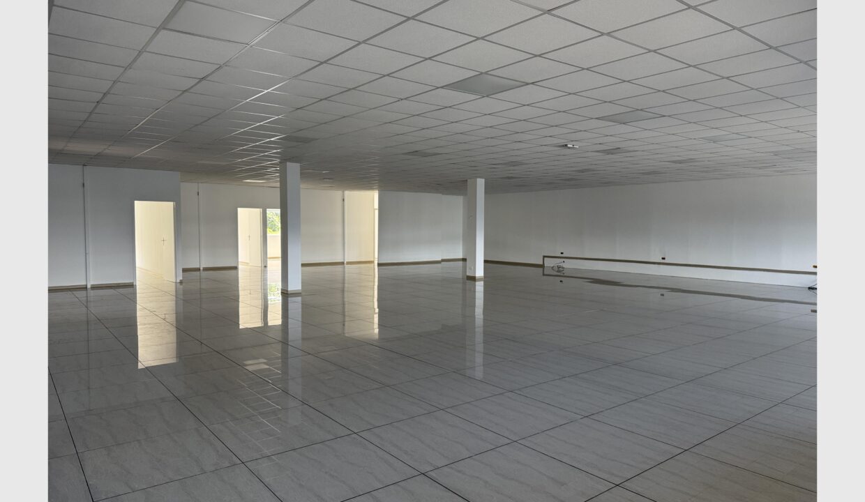 cedp-2623075-1