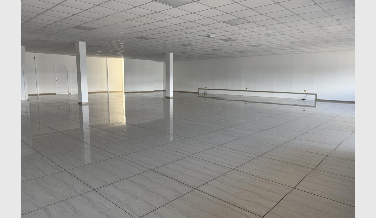 cedp-2623075-2