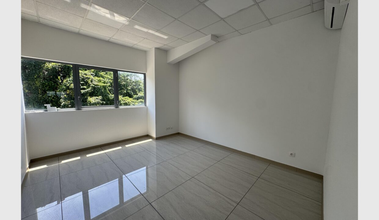 cedp-2623075-4