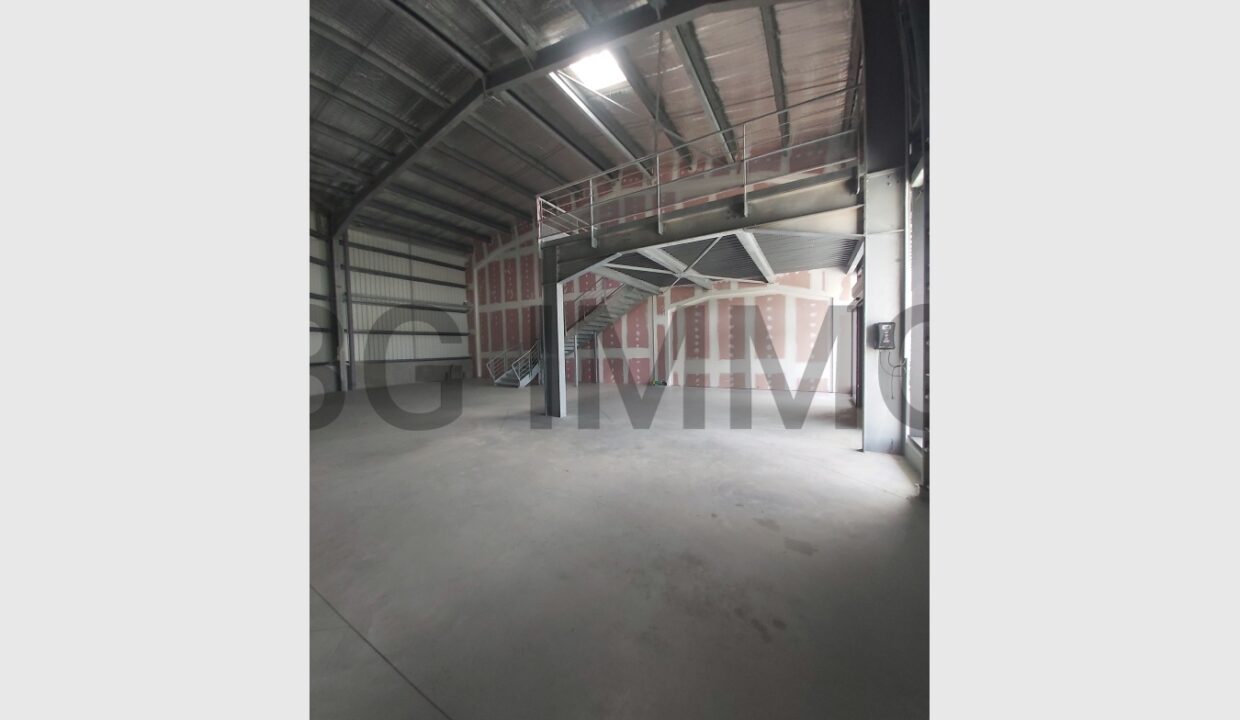 cedp-2624200-2