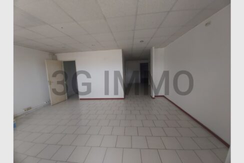 cedp-2624201-2