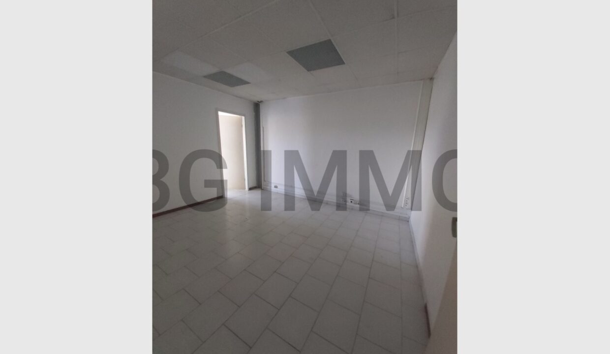 cedp-2624201-3