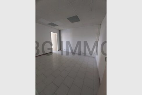 cedp-2624201-3