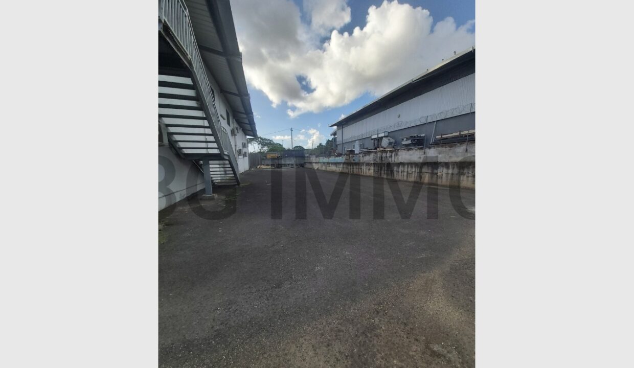 cedp-2624201-8