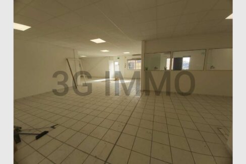 cedp-2624203-1