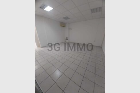cedp-2624203-3