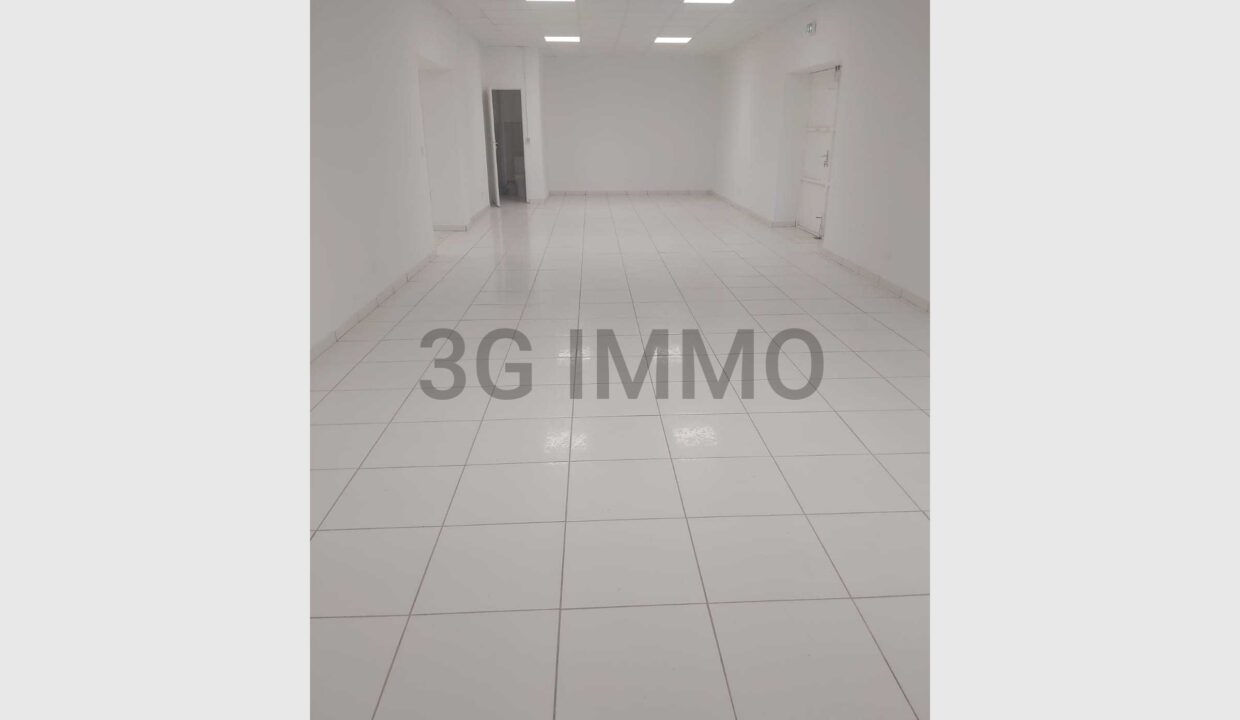 cedp-2624204-2