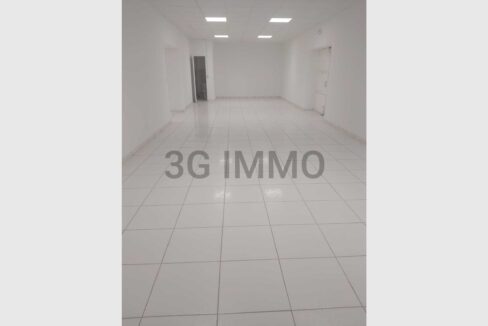 cedp-2624204-2