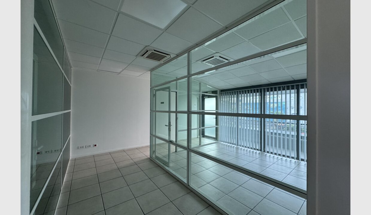 cedp-2624442-2