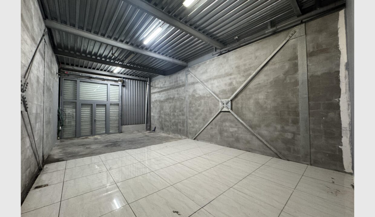cedp-2624444-5