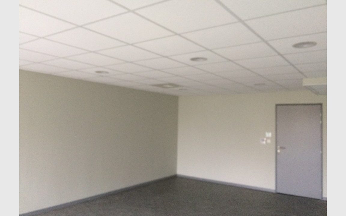 cedp-2624459-3