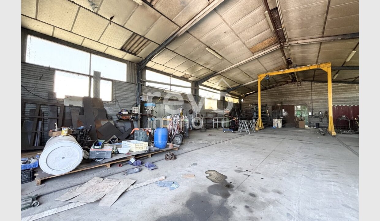 cedp-2625174-3