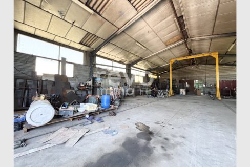 cedp-2625174-3