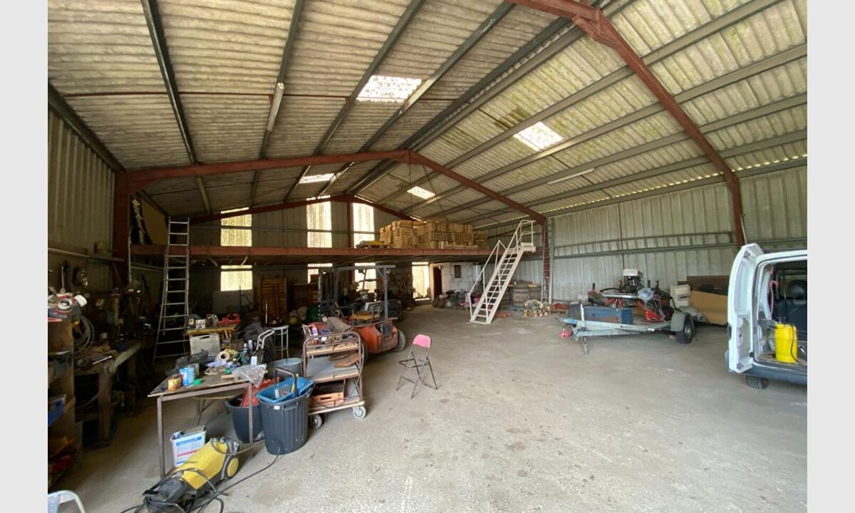 cedp-2625354-3