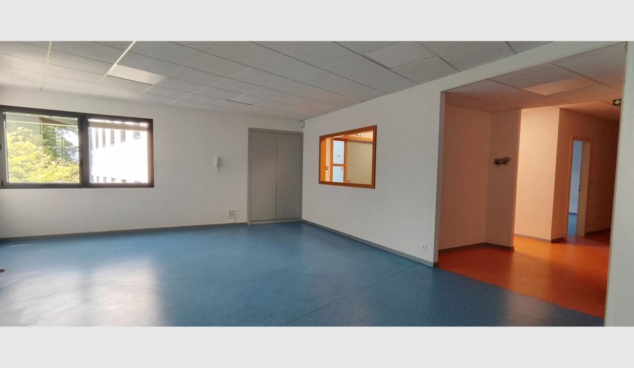 cedp-2629777-6