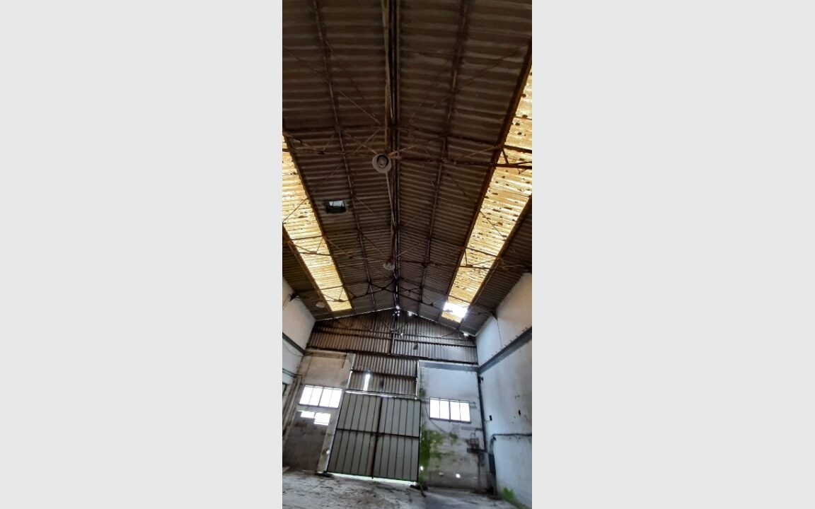 cedp-2630308-12