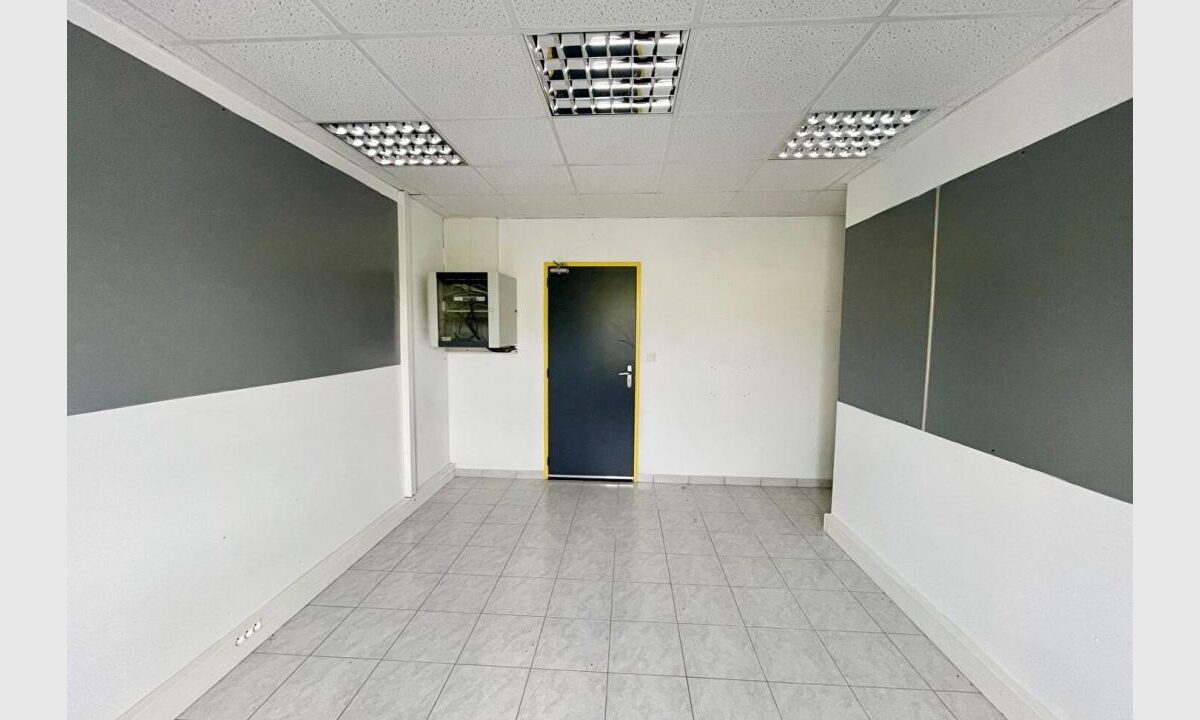 cedp-2630576-4