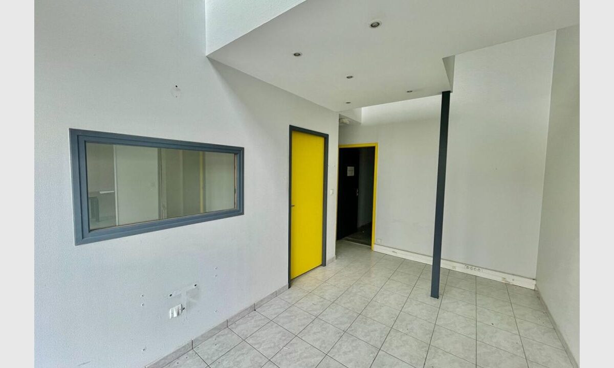 cedp-2630576-6