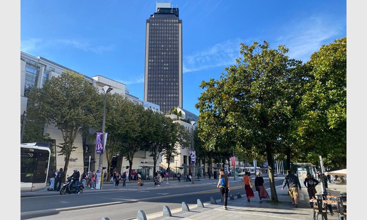 cedp-2631649-7