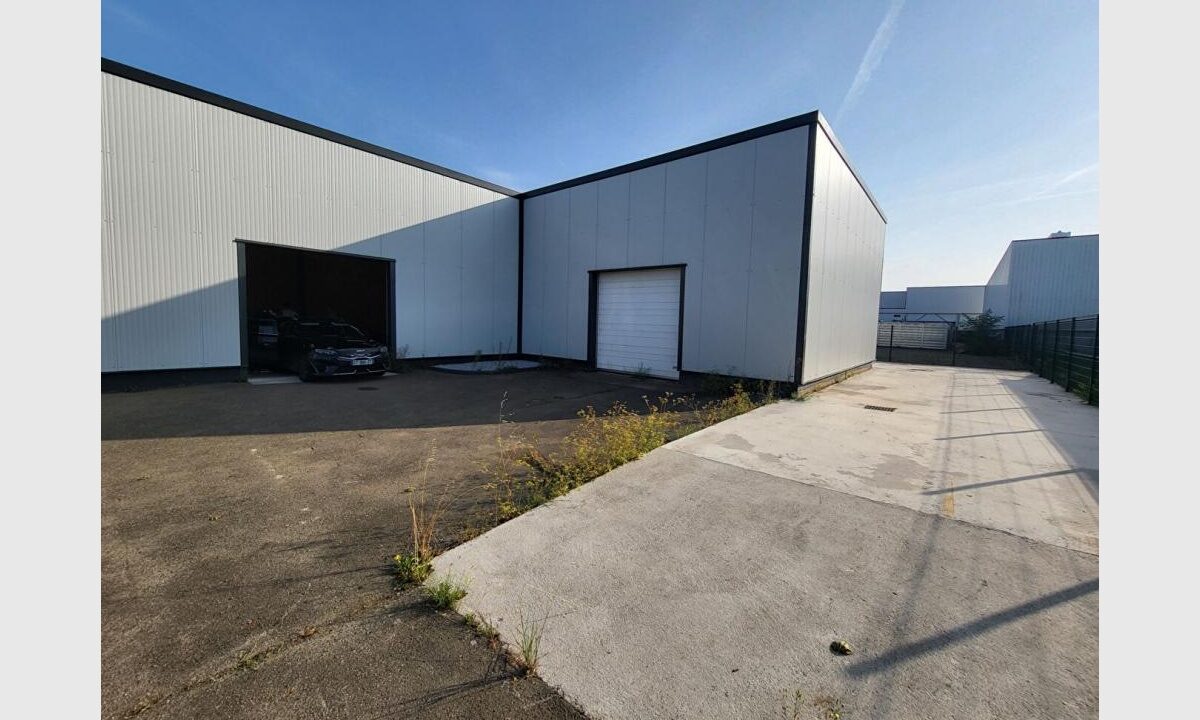 cedp-2631832-3