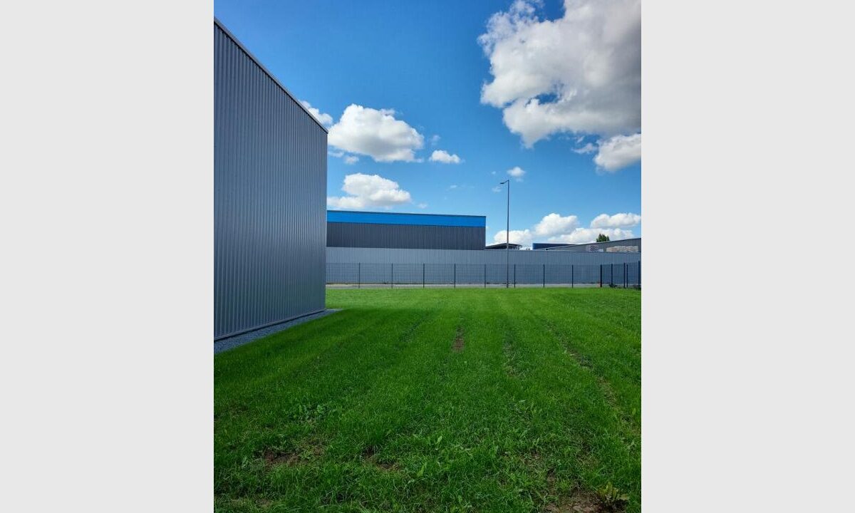 cedp-2631832-6