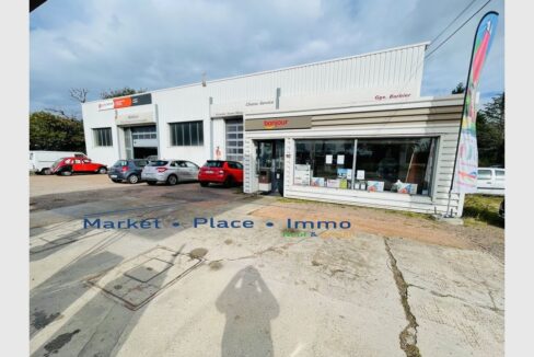 cedp-2644589-3