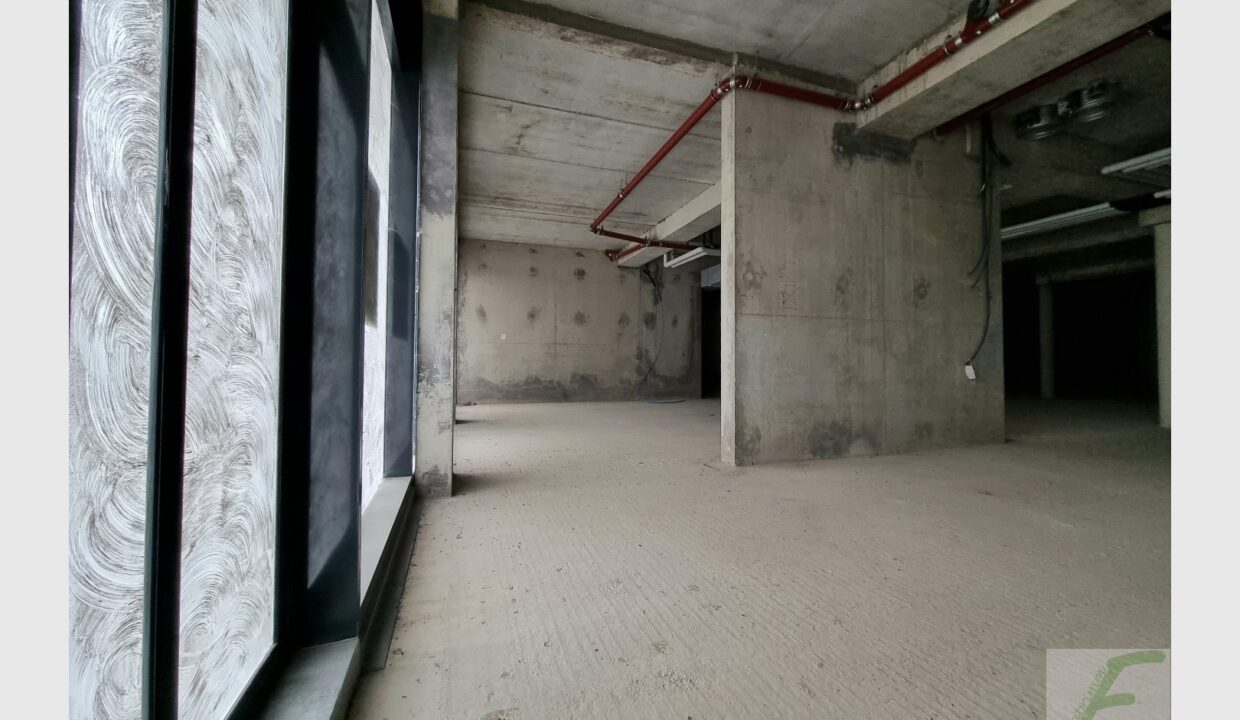cedp-2645824-1