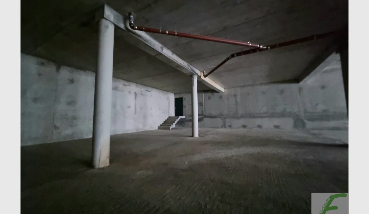 cedp-2645824-10