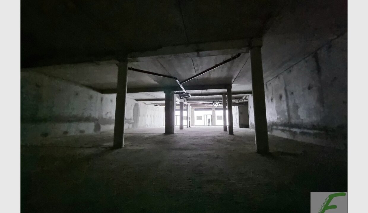 cedp-2645824-11