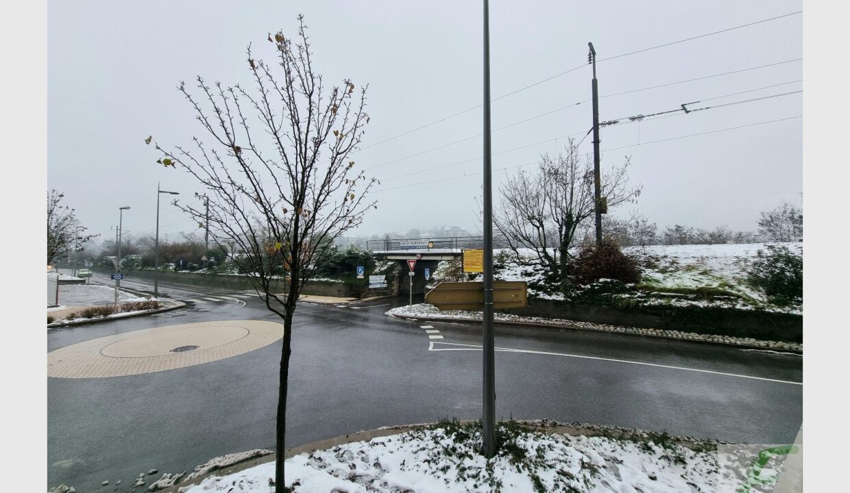 cedp-2645824-13