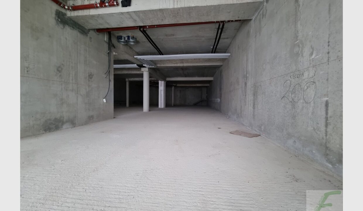 cedp-2645824-5