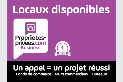 cedp-2646647-3