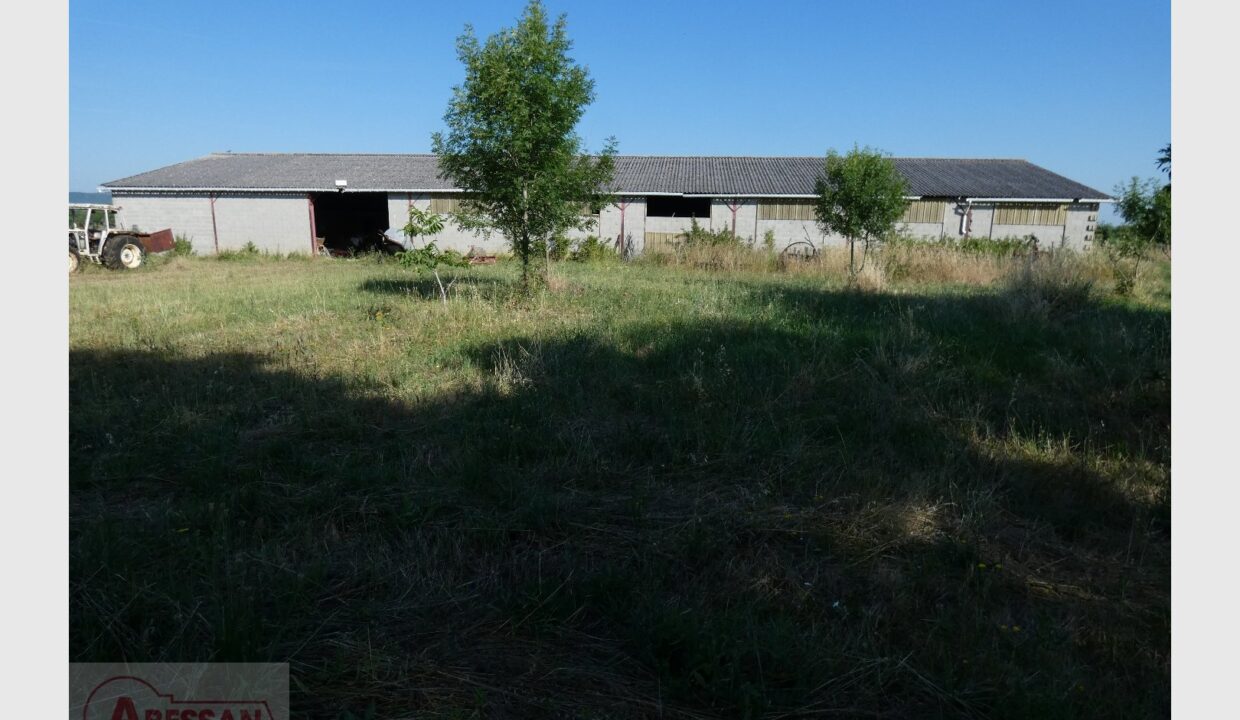 cedp-2646756-1