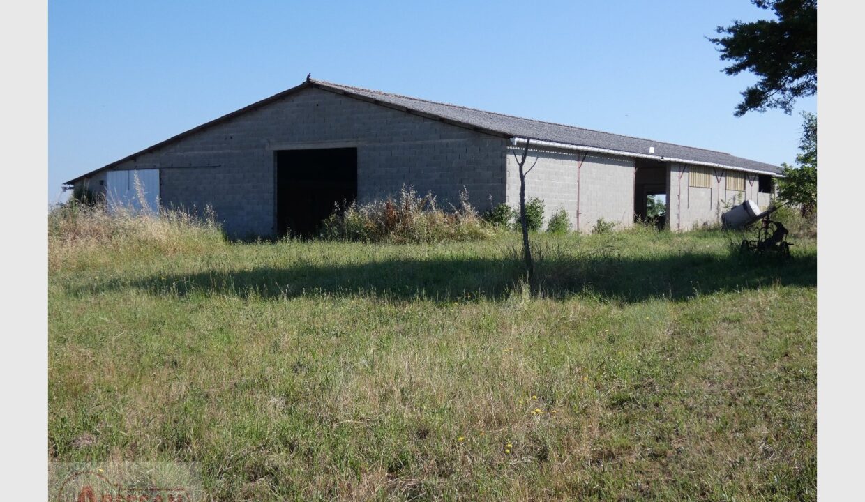 cedp-2646756-3